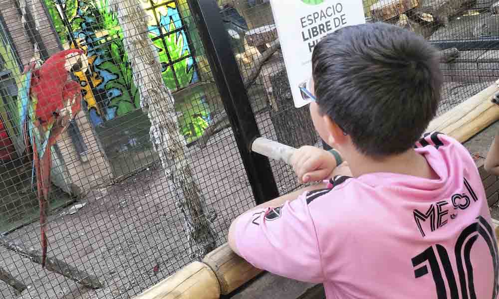 Papagayo del zoo de Córdoba