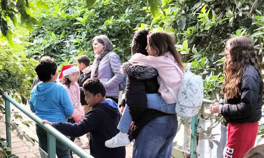 Recorriendo el Jardín botánico de Córdoba