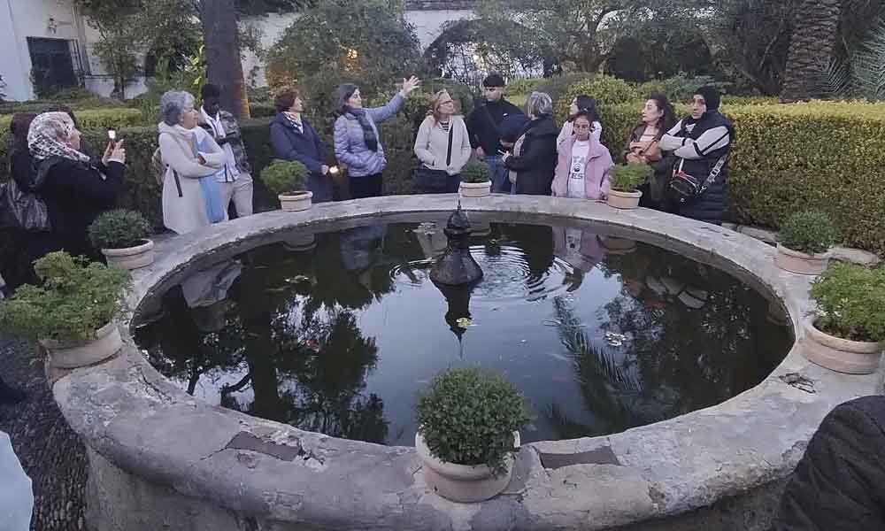 Visita guiada al palacio de Viana - Fuente